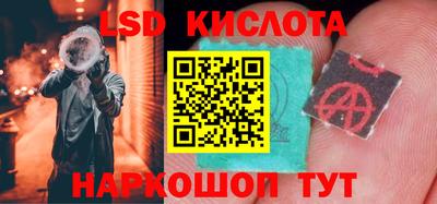 сатива Новозыбков