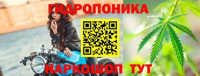 стаф Обь