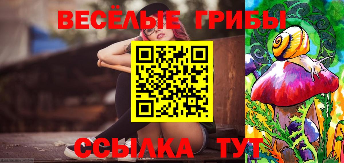 где можно купить наркотик  Галлюциногенные грибы ЛСД  Вход с VPN  Сосновый Бор 