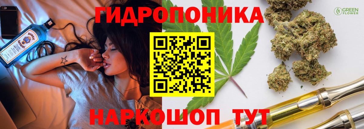 Каннабис Bruce Banner Сосновый Бор